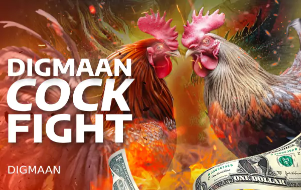 Digmaan Cockfight